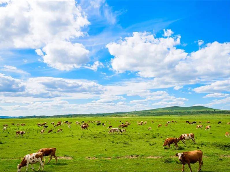 内蒙古阳光小聚，感受大草原的温暖时光