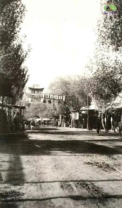 新疆之韵，探索独特文化与风情